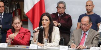 IBA Puebla interpone 18 denuncias por maltrato animal