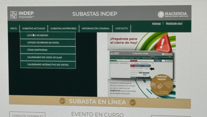 INDEP-subasta (1)