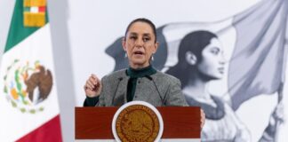 Julio César Chávez Jr. investigado desde 2019, asegura Sheinbaum