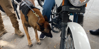 Operativo Centinela asegura más de 2 mil motocicletas y automóviles
