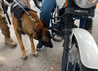 Operativo Centinela asegura más de 2 mil motocicletas y automóviles
