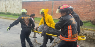 Atiende Protección Civil a mujer lesionada por caída de árbol