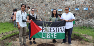 Con bailes y árboles, colectivos exigen fin del genocidio en Palestina