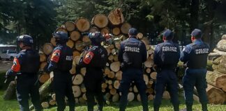 Policías forestales aseguran madera talada ilegalmente en Nopalucan