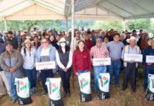 Más de 100 productores de Zacatlán reciben maíz mejorado