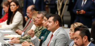 Puebla instalará Centros de Bienestar Animal en microrregiones