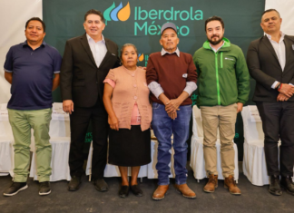 Puebla lleva energía solar a 113 familias de San José Monte Chiquito