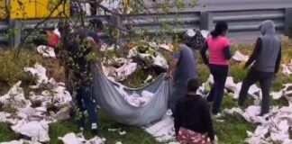 Rapiñan camión cargado con papayas en la México-Puebla