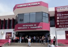 Alertan sobre gestores no autorizados en trámites de grúas y corralones
