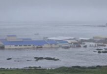 México emite alerta de tsunami por terremoto de 8.7 en Rusia