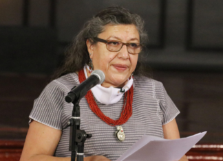 Teresa Reyes deja la Comisión Nacional de Búsqueda