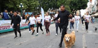 Armenta urge a presidentes municipales a combatir la crueldad animal