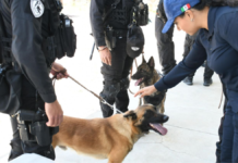 UCIPS capacita a 16 instructores caninos en Puebla