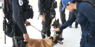 UCIPS capacita a 16 instructores caninos en Puebla