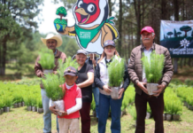 Zacatlán reforesta con mil árboles parque de Piedras Encimadas