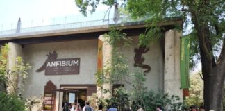 Zoológico de Chapultepec celebrará su 102 aniversario