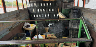 Retiran camión que obstruía actividades de mujeres indígenas en la Central de Abasto