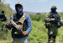 Alertan sobre expansión de cárteles mexicanos en África