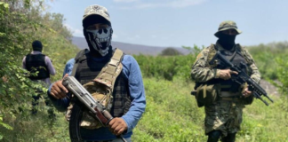 Alertan sobre expansión de cárteles mexicanos en África