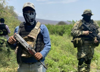 Alertan sobre expansión de cárteles mexicanos en África