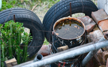 Dengue en Puebla disminuye 81% durante 2025
