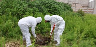 Realizan primera exhumación ministerial de un perro en Puebla