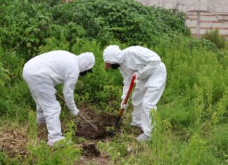 Realizan primera exhumación ministerial de un perro en Puebla