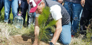 Reforestan La Resurrección con 2 mil 500 árboles