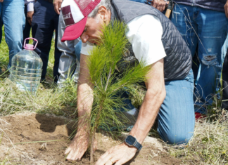 Reforestan La Resurrección con 2 mil 500 árboles