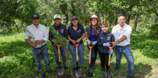 Reforestan cerro de San Miguel en San Andrés Cholula