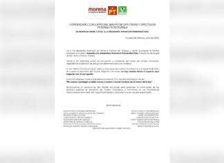 Diputados federales de Morena, PT y PVEM respaldan a Tonantzin Fernández