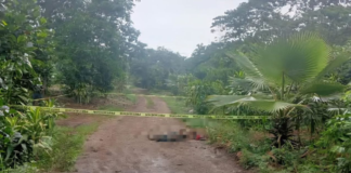 Dos hombres mueren tras riña con armas blancas en Xicotepec