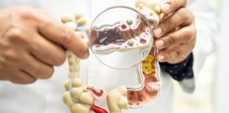 Descubren “sexto sentido” en el intestino que controlaría el apetito