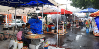 Planean reubicar a vendedores informales en parques de Puebla