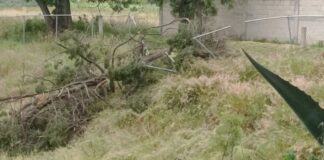 Atienden afectaciones en Centro Escolar Ávila Camacho tras tromba