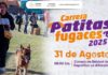 Atlixco invita a familias a la carrera “Patitas Fugaces” el 31 de agosto