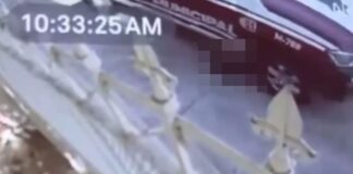 Destituyen a dos policías, responsables de matar a un perro en Acatlán