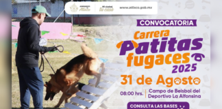 Atlixco invita a participar en la carrera “Patitas Fugaces 2025”