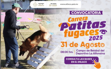 Atlixco invita a participar en la carrera “Patitas Fugaces 2025”