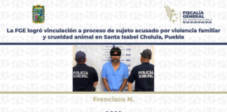 FGE procesa a sujeto por violencia familiar y crueldad animal