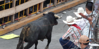 Ocho personas heridas tras la Huamantlada 2025 en Tlaxcala
