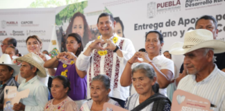 Huehuetla recibe mil 471 apoyos para transformar el sector agropecuario