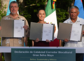 México firma pacto trilateral para proteger la Selva Maya
