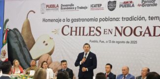 Puebla será clave en la industria del auto eléctrico