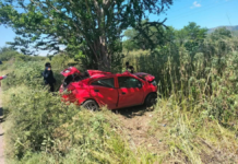 Cuatro muertos tras accidente en la carretera Chinantla-Palomas