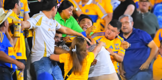 Liga MX busca tipificar agresiones en estadios como delito grave