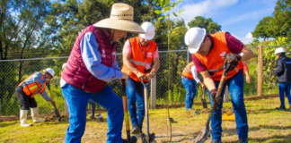 Realizan producción de composta para reforestación en Puebla
