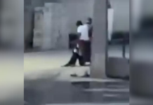 Indignación por regidor que arrastró a perro en Santa Ana Tecolapa