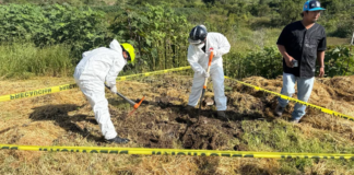 Realizan exhumación de cuerpo canino en Santa María Malacatepec