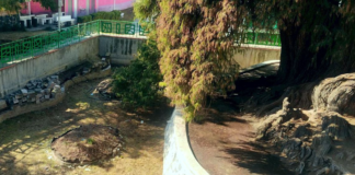 Gobierno de Puebla busca rehabilitar manantial de Acuexcomac